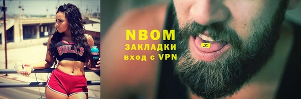 крисы Новозыбков