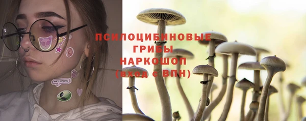 PSILOCYBIN Покачи