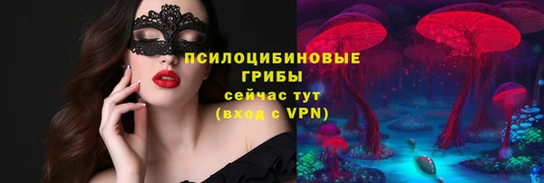 PSILOCYBIN Покачи