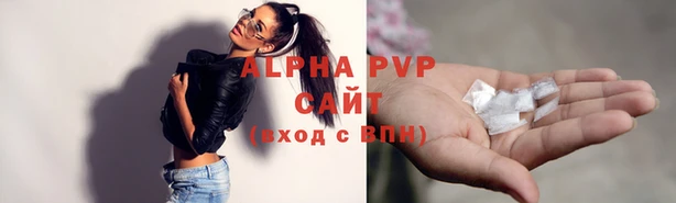 молекула духа Новокубанск