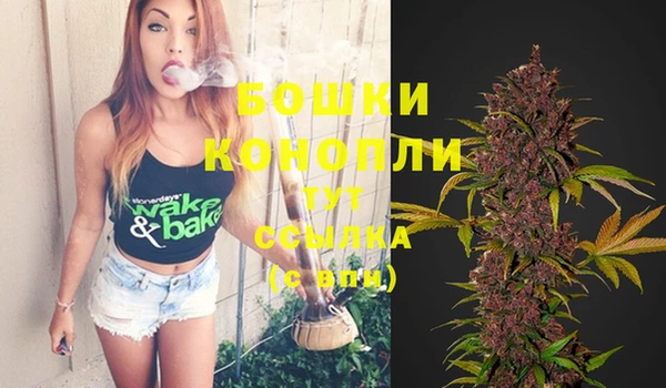 крисы Новозыбков