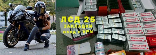 крисы Новозыбков