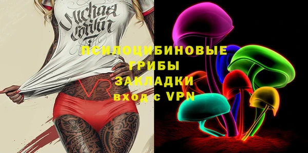 PSILOCYBIN Покачи