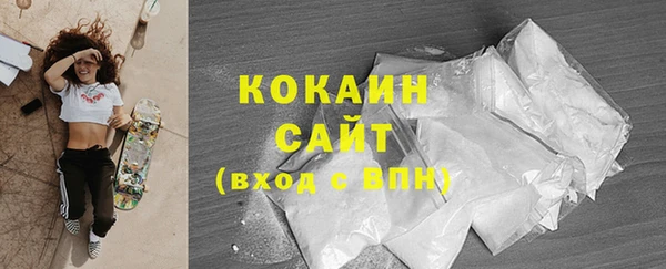 PSILOCYBIN Покачи