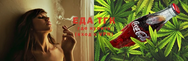 крисы Новозыбков