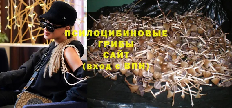 Псилоцибиновые грибы MAGIC MUSHROOMS OMG ТОР Ак-Довурак
